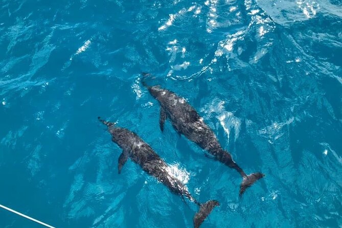 Catamaran Full-Day 3 island Northern Isles Cruise in Grand Baie - Why this northern-island route is worth your day