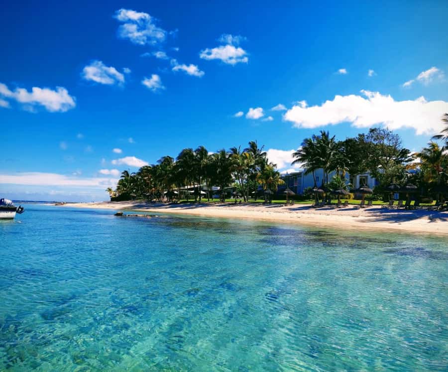 Catamaran Mauritius Cruise in the North Coasts - Who should book this northern-island cruise?