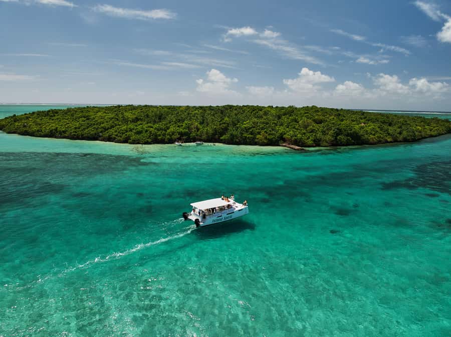 Catamaran Mauritius: South East 5 Islands Catamaran Cruises - Dolphins, tortoises, and sea life
