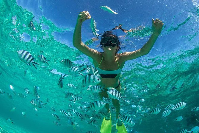 Catamaran to Ile aux Cerf with Parasailing, Tube Riding & Lunch - Starting in Trou d’Eau Douce around 9:15 a.m.