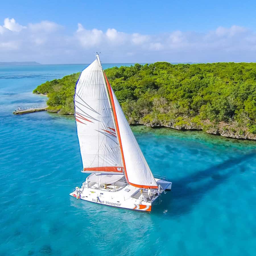 Catamaran trip to Ile Aux Cerfs With Two Way Transportation - Should you book it?