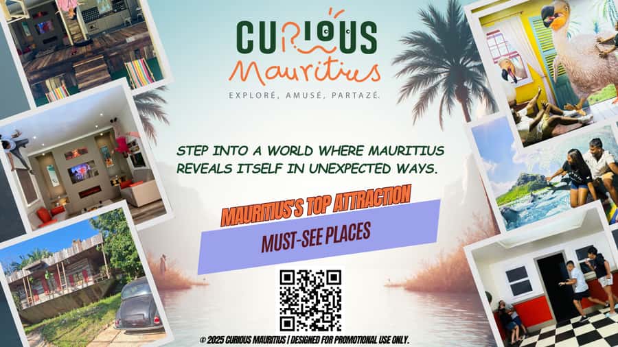 Chamarel: Curious Mauritius Entry Ticket - Posing in the Upside Down Room
