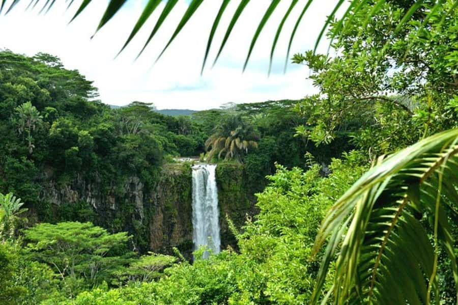 Chamarel: Southwest Mauritius Private Guided Day Tour - The naval modeling workshop adds a human touch