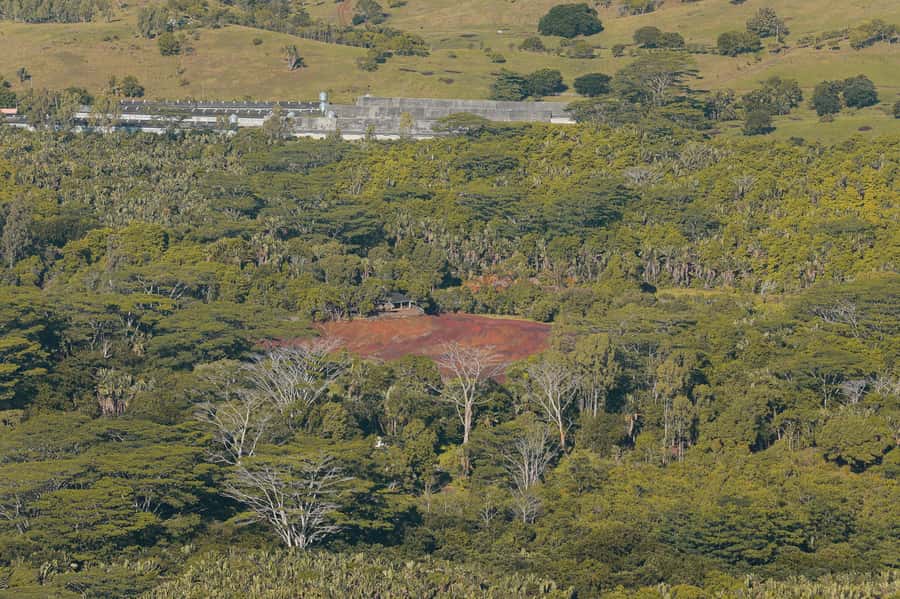 Chamarel: Sunset Mountain Hike - The climb to the summit