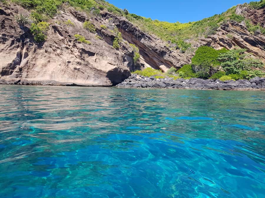 Coin de Mire 2-Hour Private Snorkeling Trip - Practical planning for your two hours