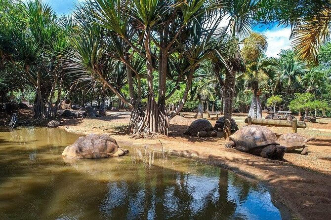 Crocodile Nature Park - The private format changes the pace