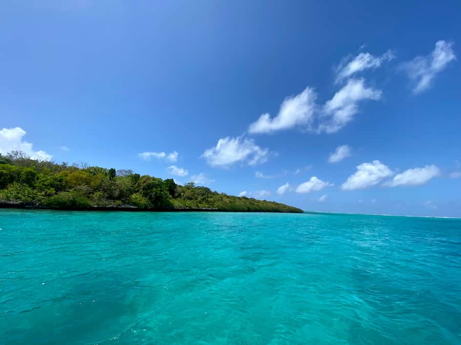 Day Trip at Ile aux Cerfs and other Gems of the South. - Why this boat day works so well