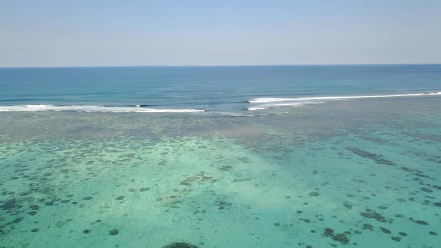 Day Trip at Ile aux Cerfs and other Gems of the South. - Snorkeling near Ile aux Aigrettes