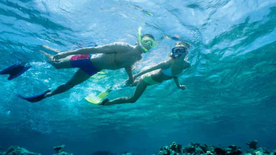 Discover Mauritius: Dolphin Watch, Snorkeling, BBQ Lunch - Key points at a glance
