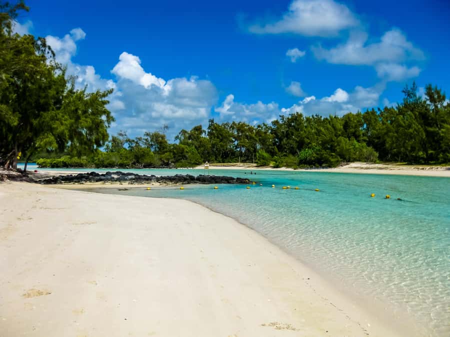 Discover Mauritius Full Day with Your Personal Driver-Guide - Port Louis: two hours in the island’s capital
