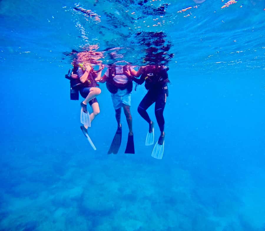DISCOVER SCUBA DIVING IN LEMORNE with EasydiveMauritius - What you can expect underwater