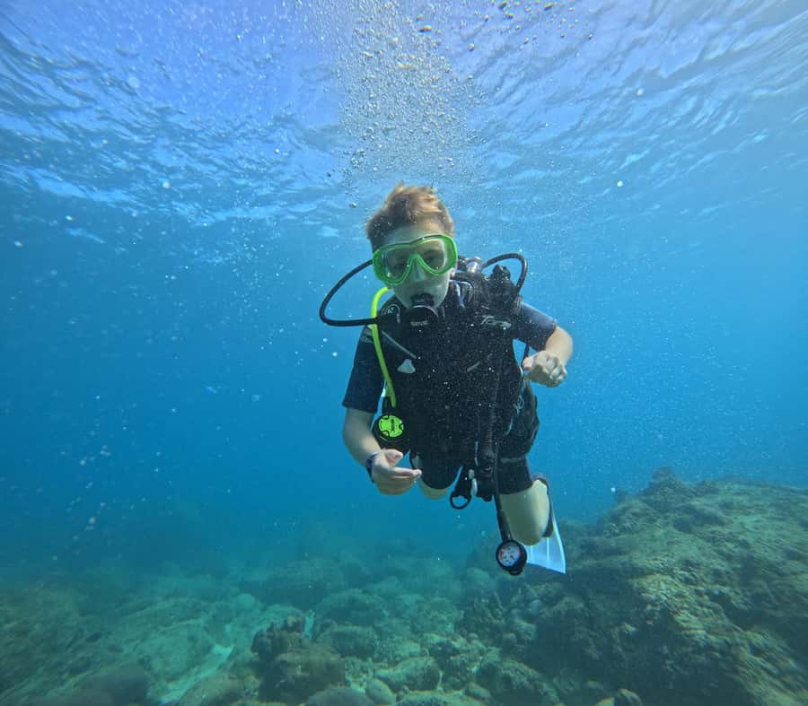 DISCOVER SCUBA DIVING IN LEMORNE with EasydiveMauritius - The $159 price and what it covers
