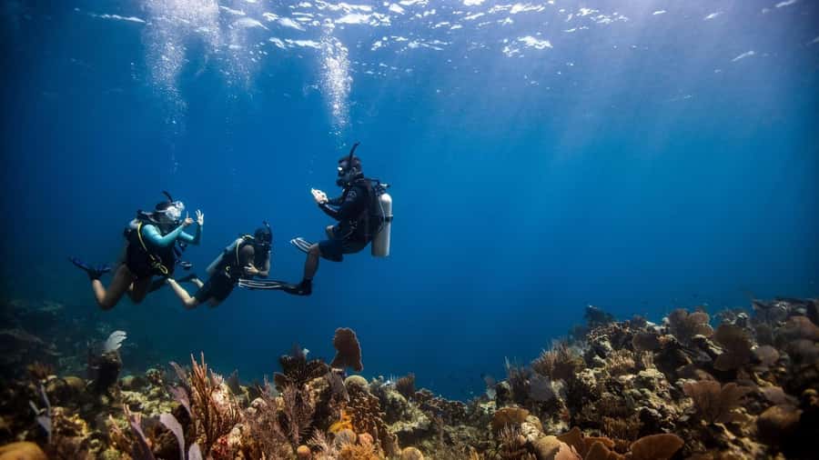 DISCOVER SCUBA DIVING IN LEMORNE with EasydiveMauritius - Equipment preparation and the first pool lesson
