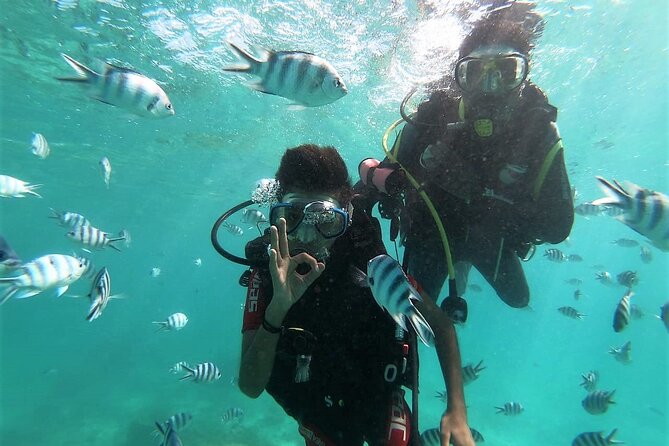 Discover Scuba Diving in Mauritius - Starting at Pereybere with Ocean Spirit