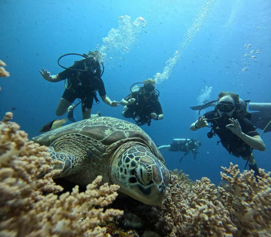 Discover Scuba Diving in the North of Mauritius - Pool practice builds confidence