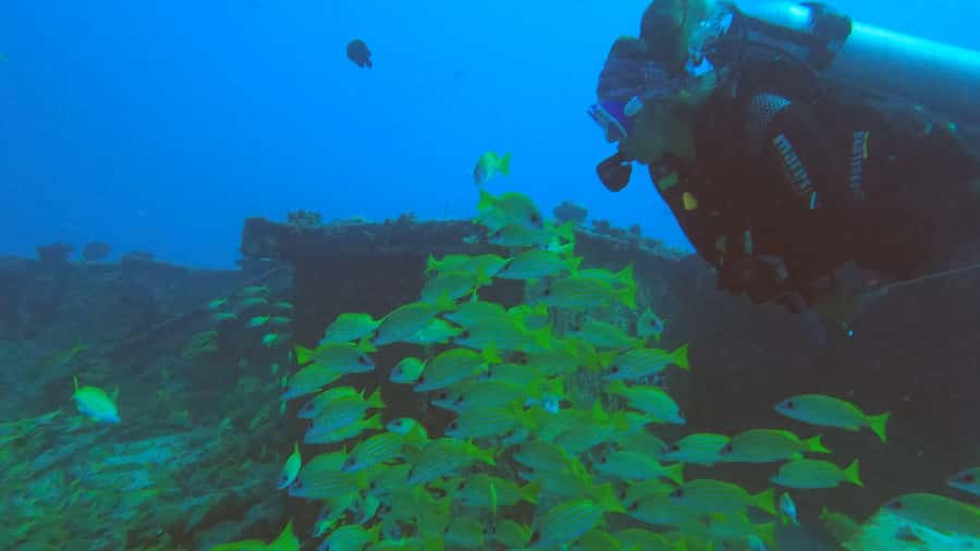Discover Scuba Diving in the North of Mauritius - What the underwater session feels like