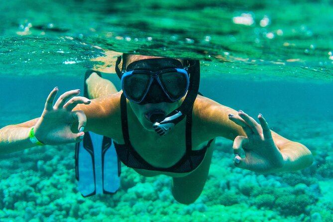 Discover the East of Mauritius: Full-day All-inclusive tour (Visit to 3 parks) - Mahebourg Waterfront and the Battle of Grand Port
