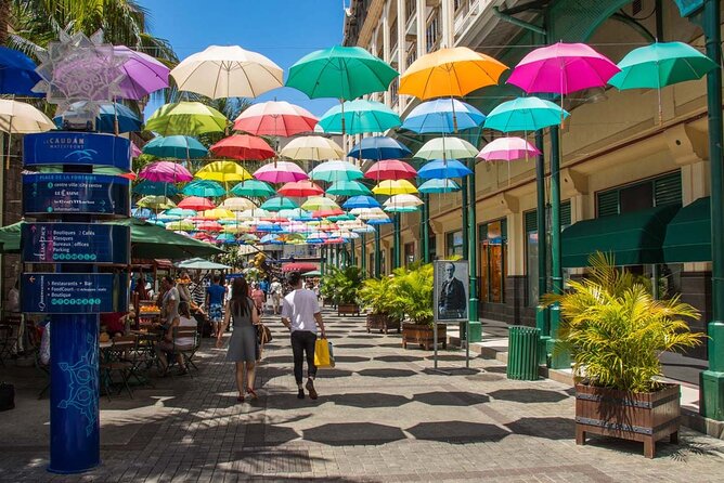 Discovering the North of Mauritius: Full-day incl Botanical garden & lunch - Lunch, then Fort Adelaide above Port Louis