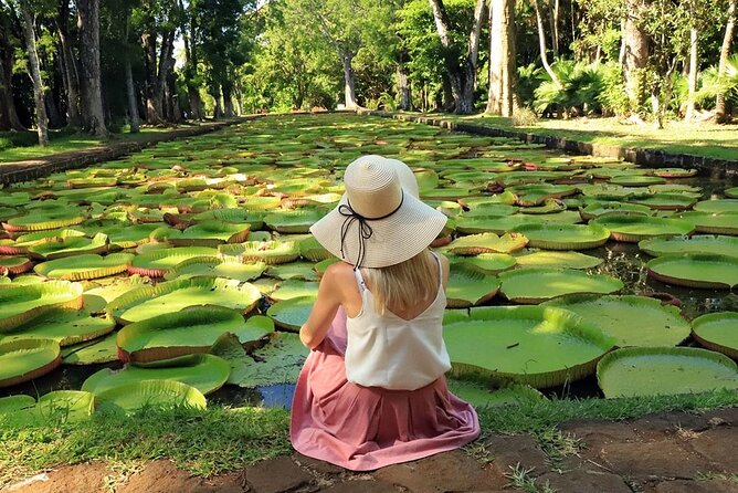 Discovering the North of Mauritius: Full-day incl Botanical garden & lunch - Central Market, dhal puri, and Port Louis street life