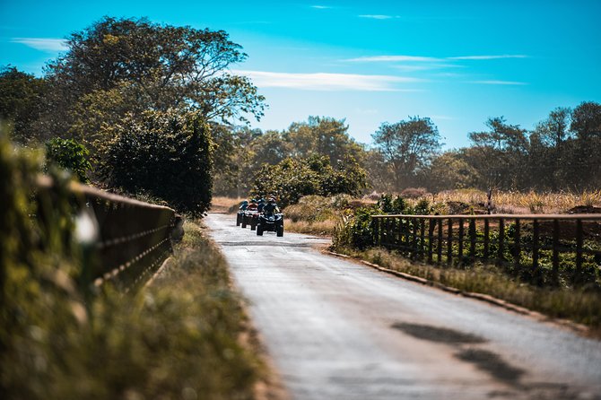 Discovery Tour 35km - Lunch and wildlife at La Vanille Nature Park