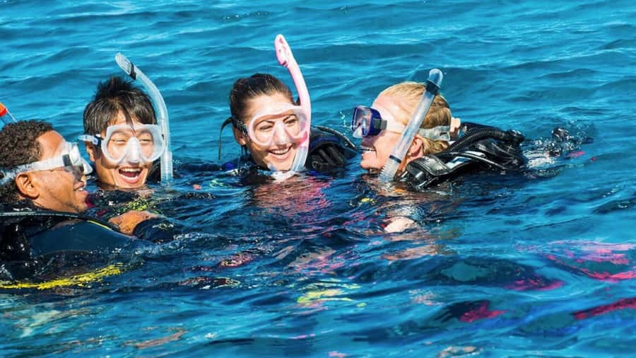 Diving in the North with Blue World Adventures - Key points to know before you book