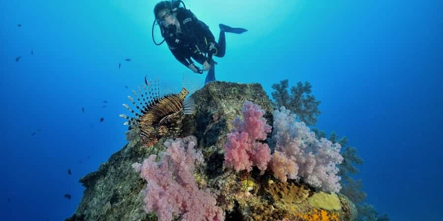 Diving in the North with Blue World Adventures - Starting at Le Méridien on the north coast