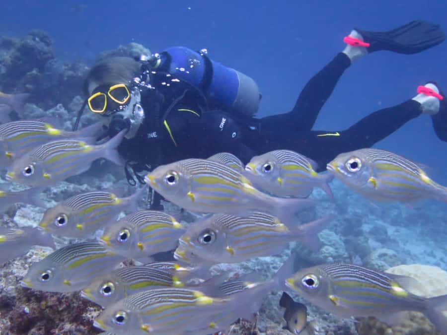 Diving in the North with Blue World Adventures - Is $159 good value for two hours?