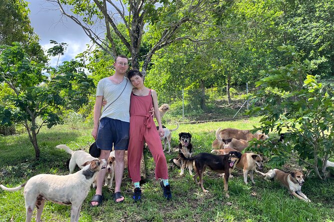Dog Lover's guided tour of the Happy Tails Sanctuary - Meeting the Dogs at Baie du Cap