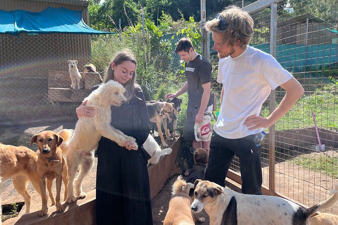 Dog Lover's guided tour of the Happy Tails Sanctuary - Why the Small Six-Person Group Matters