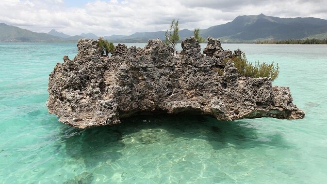 Dolphin Encounters, Ile aux Benitier & Crystal rock: Full-Day (Lunch & Transfer) - Key Points to Know Before You Book