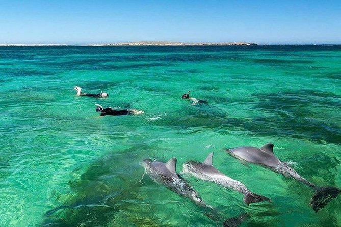 Dolphin Encounters, Ile aux Benitier & Crystal rock: Full-Day (Lunch & Transfer) - The Early Start and Transfer to Mauritius’s West Coast