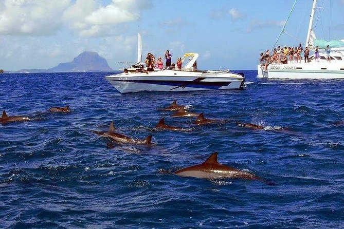Dolphin Encounters, Ile aux Benitier & Crystal rock: Full-Day (Lunch & Transfer) - Barbecue Lunch on Ile aux Benitiers