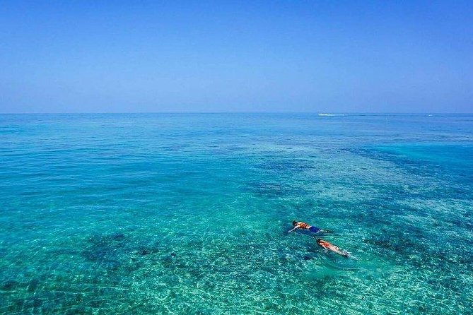 Dolphin Encounters, Ile aux Benitier & Crystal rock: Full-Day (Lunch & Transfer) - Boat Size, Guides, and the Feel of the Day