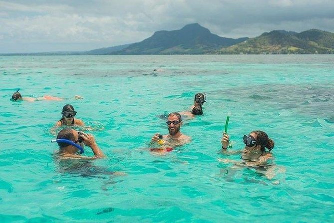 Dolphin Encounters, Ile aux Benitier & Crystal rock: Full-Day (Lunch & Transfer) - Who Should Book This Mauritius Boat Tour?
