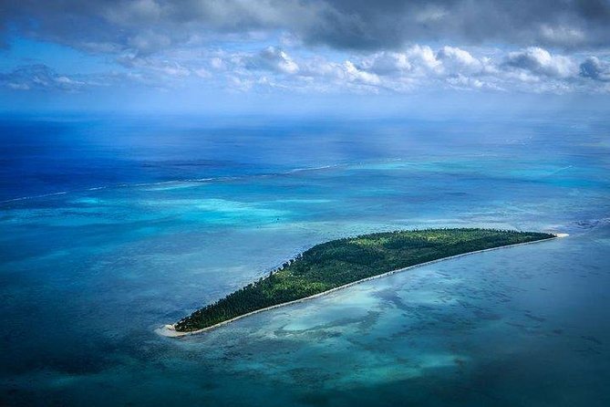 Dolphin Encounters, Ile aux Benitier & Crystal rock: Full-Day (Lunch & Transfer) - Dolphin Encounters in Open Water