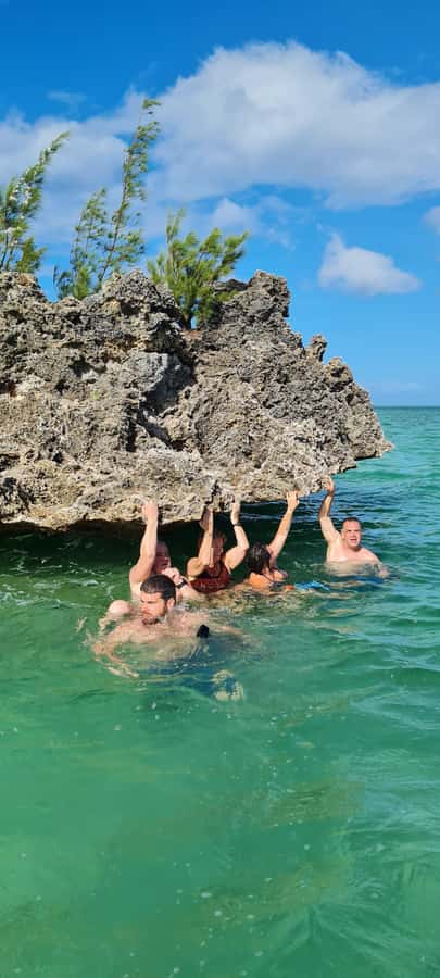 Dolphins: Private, Snorkel, CrystalRock, ileoBenitiers,lunch - Finding the right beach departure