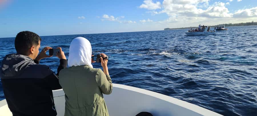 Dolphins & Whales, Private Tour Snorkeling - Crystal Rock and the natural aquarium