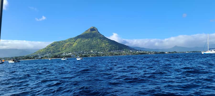 Dolphins & Whales, Private Tour Snorkeling - Drinks, equipment, and what to bring
