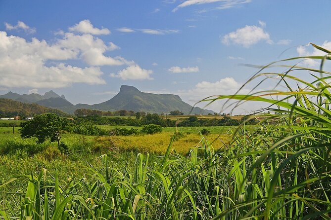 East of Mauritius: Full Day Scenic Tour with Lunch & Glass Bottom - Blue Bay puts you on the lagoon