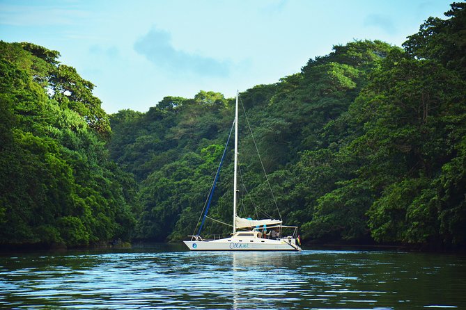 EAST Shared Cruise : OCÉANE Full day catamaran to Ile aux Cerfs - Setting out from Trou d’Eau Douce at 9:00 am