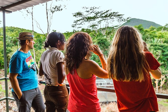 Ebony Forest Reserve Chamarel: Endemic Birdwatching Guided Tour - Key points to know before you book