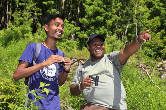 Ebony Forest Reserve Chamarel: Endemic Birdwatching Guided Tour - Walking the forest in search of six endemic species