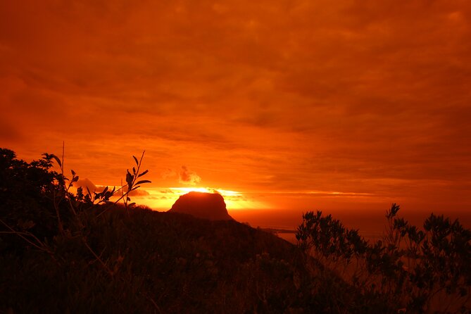 Ebony Forest Reserve Chamarel: Sublime Sundowner - The 300-meter walkway through ancient ebony forest