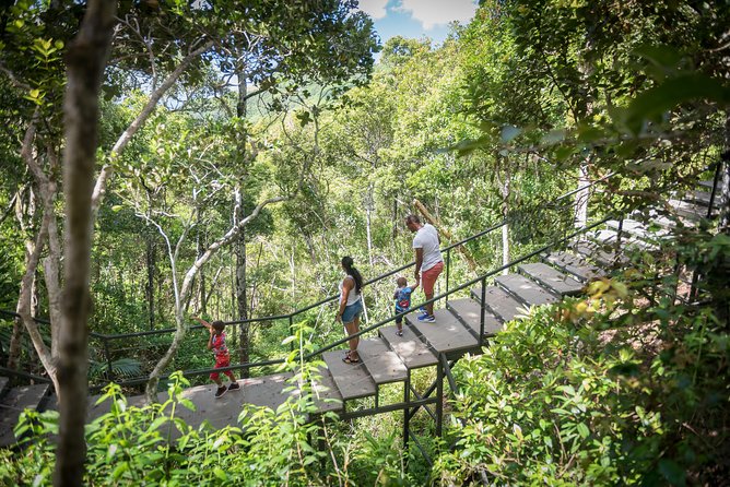 Ebony Forest Reserve Chamarel - Take a Hike Tour - The Flycatcher Forest walkway