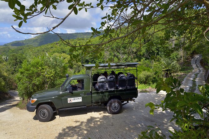 Ebony Forest Reserve Chamarel - Take a Hike Tour - The Piton Canot option