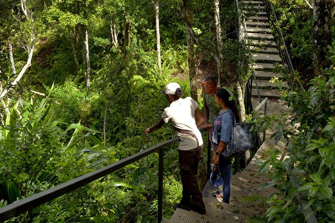 Ebony Forest Reserve Chamarel - Take a Hike Tour - What to pack and how to pace yourself