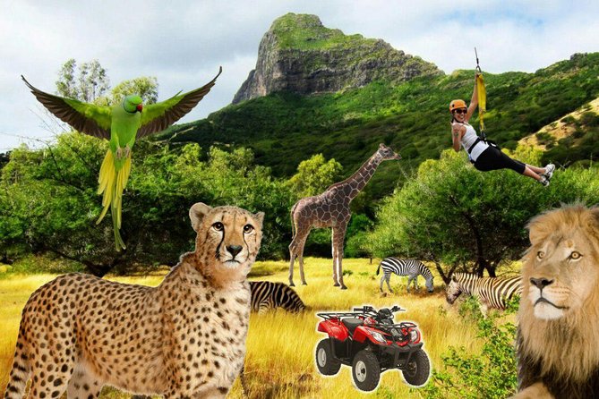 Enchanting South of Mauritius: Full-day tour Incl CASELA Park, Lunch & Transfer - Grand Bassin and the 33-meter Shiva statue