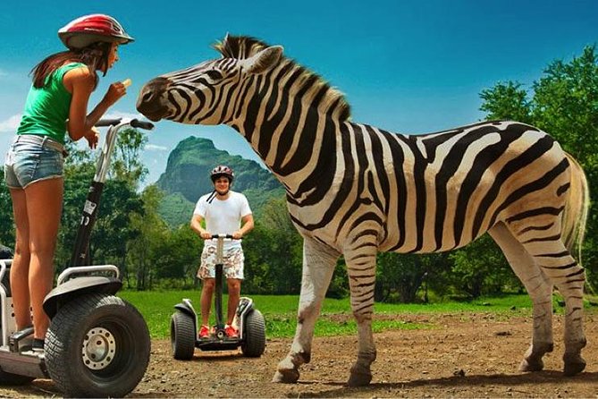 Enchanting South of Mauritius: Full-day tour Incl CASELA Park, Lunch & Transfer - Casela Nature Parks and the African safari truck