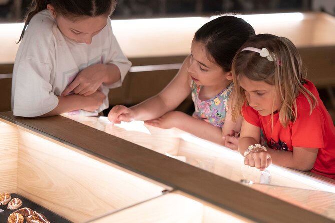 Entrance Ticket to World of Seashells museum - What you’ll see during the 45 to 90 minute visit