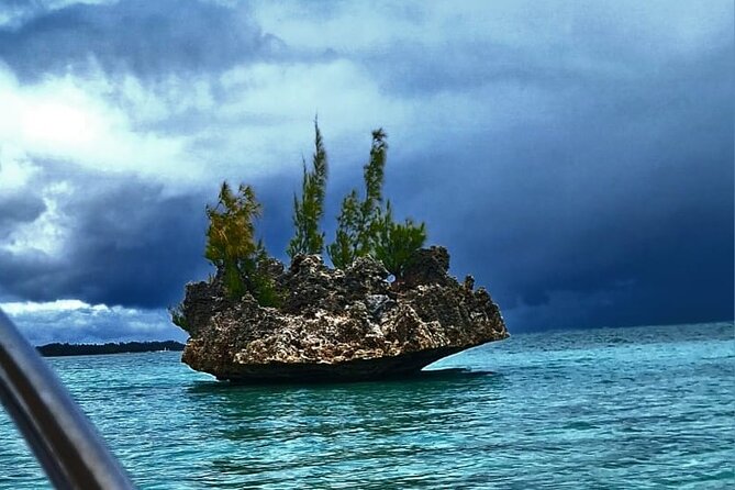 Exciting Dolphin encounters in the Maurtius's lagoon - Key things to know before booking